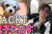 【賛否両論】一流芸能人GACKTさん、ペットロスに悲しむ友人に自分が飼ってる愛犬をプレゼント