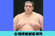大相撲無観客場所、碧山とかいう謎の力士が優勝しそうwnwnwnwnw