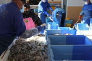 中国、日本産水産物すべて放射線検査…汚染水放流中断圧力＝韓国の反応