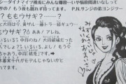 【悲報】ONE PIECE世界の中将クラス、弱すぎて話にならない・・・・・・