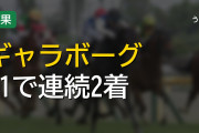 秋華賞2着ギャラボーグ G1連続好走も残るシルバーコレクターの壁