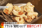 【悲報】日本さん米だけではなく唐揚げまでピンチ 鳥インフルでブラジルが鶏肉輸出を一時停止