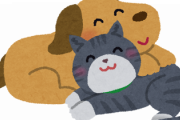犬「なつきます、かわいいです、躾けられます、散歩楽しいです」←こいつが猫に負ける理由ｗｗｗ