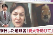 日本にウクライナから犬を連れてきた避難民がペット保護費54万円を請求される「支払えなければ殺処分」