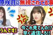 岩本蓮加、勇気を出して菅原咲月をご飯に誘うも無視されてしまう..ｗ【文字起こし】乃木坂46