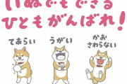 思わず吹いたスレ・画像　犬でも出来るｗｗｗｗｗ