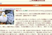 【あなたはどっち？】外飼い猫がアヒルを◯す→アヒル飼い主悲痛→ネットで愛猫家から袋叩きにされる。物議に