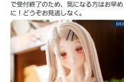 【朗報】人気ゲームのドール、15万円もするのにめちゃくちゃ売れるｗｗｗｗ