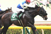第37回 エプソムカップ（GIII）府中巧者実力発揮！2番手追走ダイワキャグニー（内田）ゴール前で抜け出し重賞初制覇！