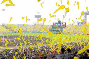 ＮＰＢ　専門家の「提言」を告知　ほぼ応援禁止？にネット賛否「さみしい」「それでも見たい」