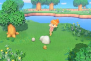 【あつまれどうぶつの森】なんかこの石の位置気になる…　石は動かせるんだよね？
