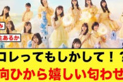 【匂わせ】わくわくドキドキ!?日向ひで嬉しい匂わせが【日向坂46】