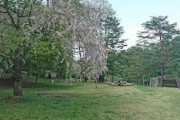 【盛岡市】盛岡市都南つどいの森【動画】広い森林公園にあるキャンプ場♪