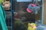 「クレーンゲームでぬいぐるみをゲットしたはずが…」→カワイイあいつが出てきた！
