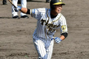 7月度のファーム月間MVPが発表　阪神島田が受賞