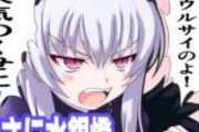 【悲報】ローゼンメイデン、なぜあんなに流行ったのかが分からない