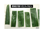 「スイセン」食べて食中毒…30代から80代までの男女5人「ニラ」と間違え調理　臭いと葉の違いに注意！