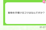 デレポ】松本沙理奈「セクシーは万物に通じるのね…」