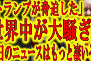 トランプ「諜報権認可法！」日本「未確認飛行物体の情報公開！」米国「実は敵国の航空機疑惑！」トランプ「CIAもFBIもUFO情報出せ！」米国議会「報告義務免除の最高機密！」→