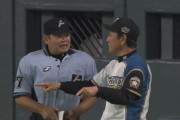 日ハム栗山監督「当たってる！死球！リクエスト！」審判団「！？。死球ってリクエスト可だっけ？」