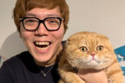 人気YouTuber・ヒカキン「家から見える公園でお花見してる人が沢山います。。。」