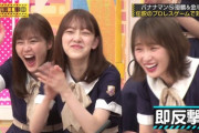 【乃木坂46】生田絵梨花の笑い方www
