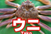 何もかもが間違っている看板