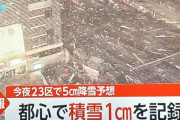 【悲報】本日の雪、ガチで東京がヤバい模様ｗｗｗｗｗｗｗｗｗｗｗｗｗｗｗｗｗｗ