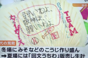 【悲報】仙台の小学生「弱いわよ　阪神は　弱いわよ」