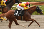 【競馬予想】[1]第27回ユニコーンステークス(GⅢ) /2022