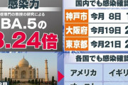 “感染力3倍”新たな亜種『ケンタウロス』国内初確認感染ピーク山が大きくなる可能性も #オミクロン株