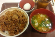 【画像】(ヽ´ん`)「牛丼をたまごセットで注文したら店員が牛丼のたまごセット持ってきやがった」
