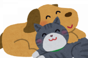 犬vs猫論争、決着がつく