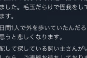 【悲報】ブッサイクなネッコ、飼い主に捨てられる （※画像あり）