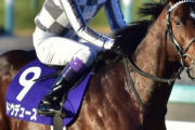 【競馬まとめ】ドウデュースは主人公力が凄すぎる！！！←これ・・【２ch反応・競馬兄弟・有馬記念出走取消】