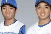 山本拓実、郡司裕也、A・マルティネス...新庄監督の元で躍動する日ハムの「元竜戦士」 偶然か必然か