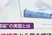 「PCR検査は大変でそんなに出来ないんです」 ⇒ 日本の検査機器が欧米で大活躍し感謝されている衝撃事実