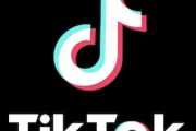 アメリカ「TikTokをアメリカ企業に売却しろ」Tiktok「はい…」←これ