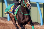 【有馬記念に自信】シャドウディーヴァ　横山典「俺の考える通りなら何とかなる」