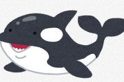 【動画】シャチ、鬼畜すぎるｗｗｗｗｗｗｗｗｗｗｗｗ