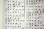 【悲報】「すみません」の言い方、沖縄だけおかしすぎるｗｗｗｗｗｗｗｗ