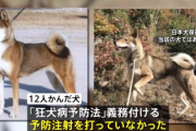 【速報】群馬で小学生12人を噛みまくった犬、狂犬病の予防接種をしていなかった
