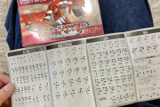 【悲報】Z世代「ポケモンってゲームをやったら、謎解きに点字を使っててドン引きした…点字は健常者のおもちゃじゃないんだぞ」