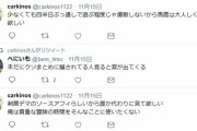 【悲報】Twitter民「ポケモン新作のデータ破損バグは悪質なデマ！」 → デマ認定した不具合の被害にあってしまう