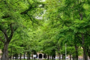 大学構内を歩いてたら知らない男子に「土下座するなら付きあってやってもいいよ」って言われた