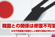 日本と韓国の関係、後戻り不可能な状況になっていた！　韓国「日本不買運動は収束した。どの店も日本の商品置かなくなったから」　完全に終わったな…