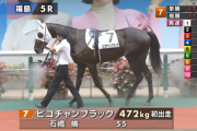 【福島5R新馬戦】ピコチャンブラック＆石橋脩騎手がｷﾀ━━━━(ﾟ∀ﾟ)━━━━!!