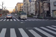【動画】車が止まってくれるだろう運転の自転車と渡らないだろう運転のトラックが事故る