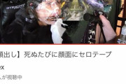 【悲報】底辺youtuber、ゲームが下手すぎて悲惨なことになる
