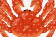 タラバガニ　「カニじゃないんですけどカニって呼ばれてます」